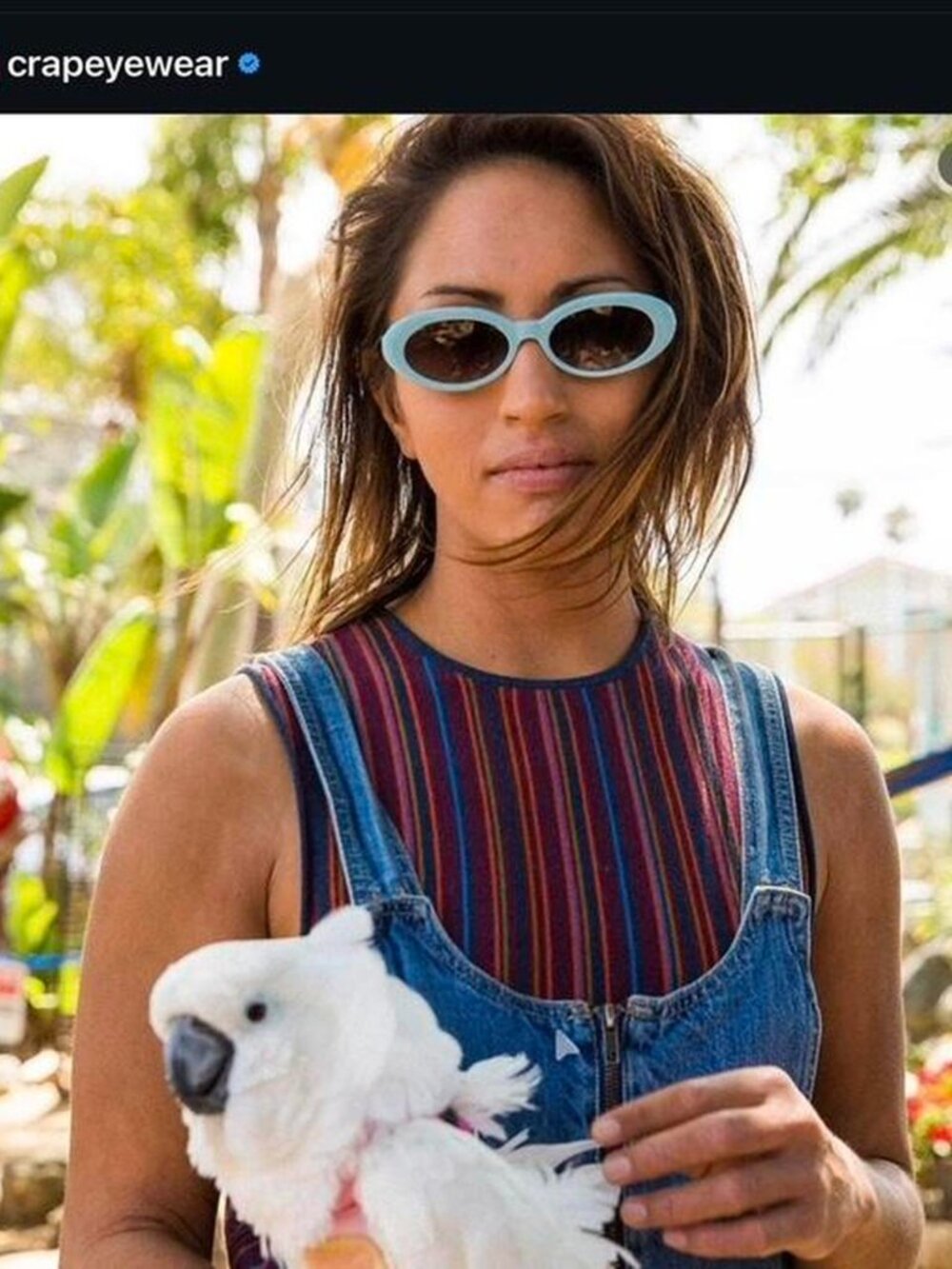 Crap Eyewear The Sweet Leaf Sunglasses Seafoam Blue Oval Frames Rare 💙